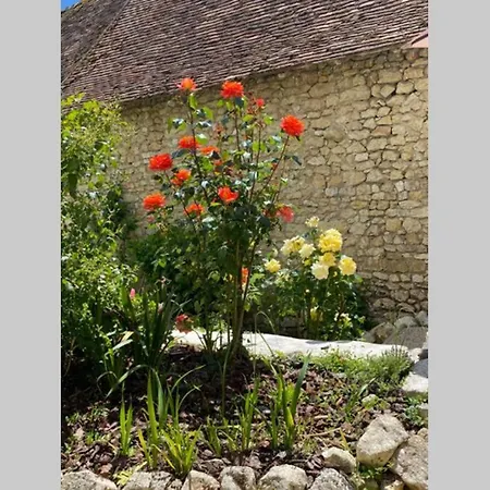 La Violette * Vicq-sur-Gartempe